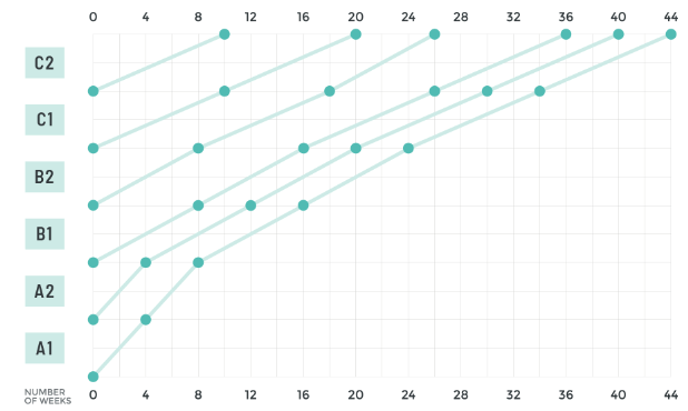 Level Progress Chart