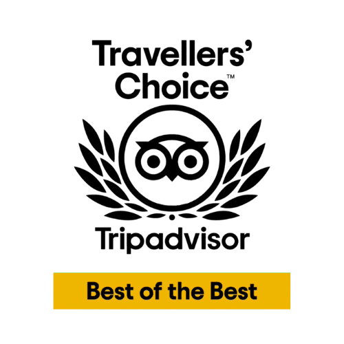 TripAdvisor.png